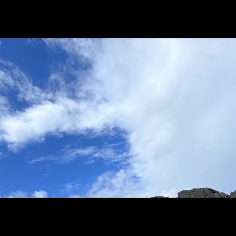 feel封面