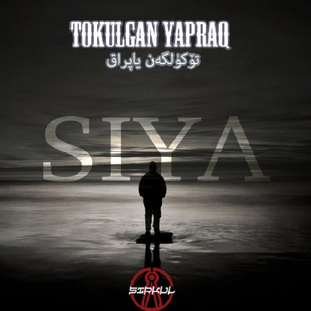 TozighanYapraq封面