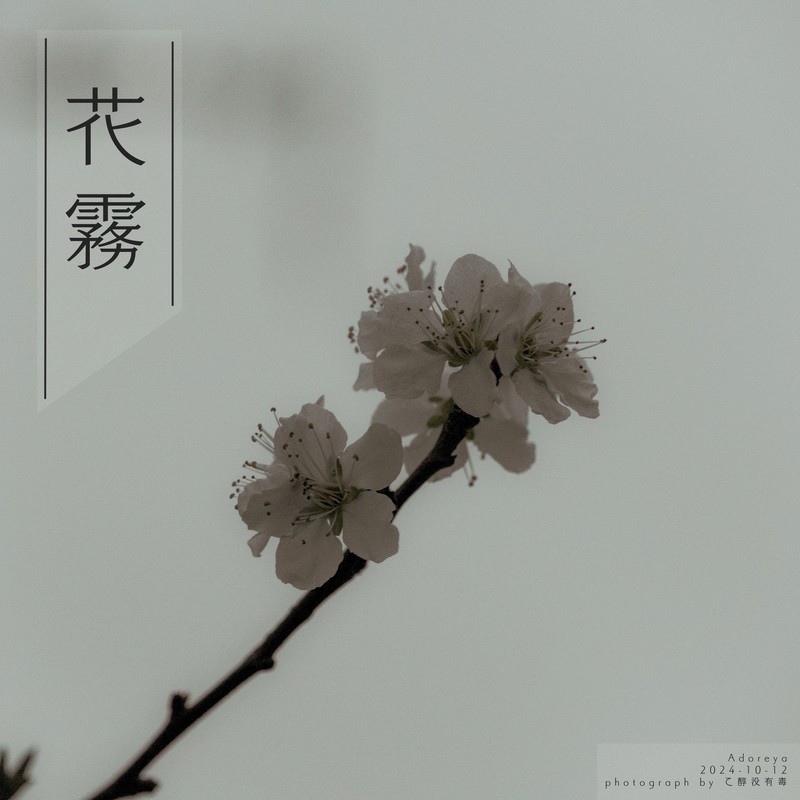 风吹雾封面
