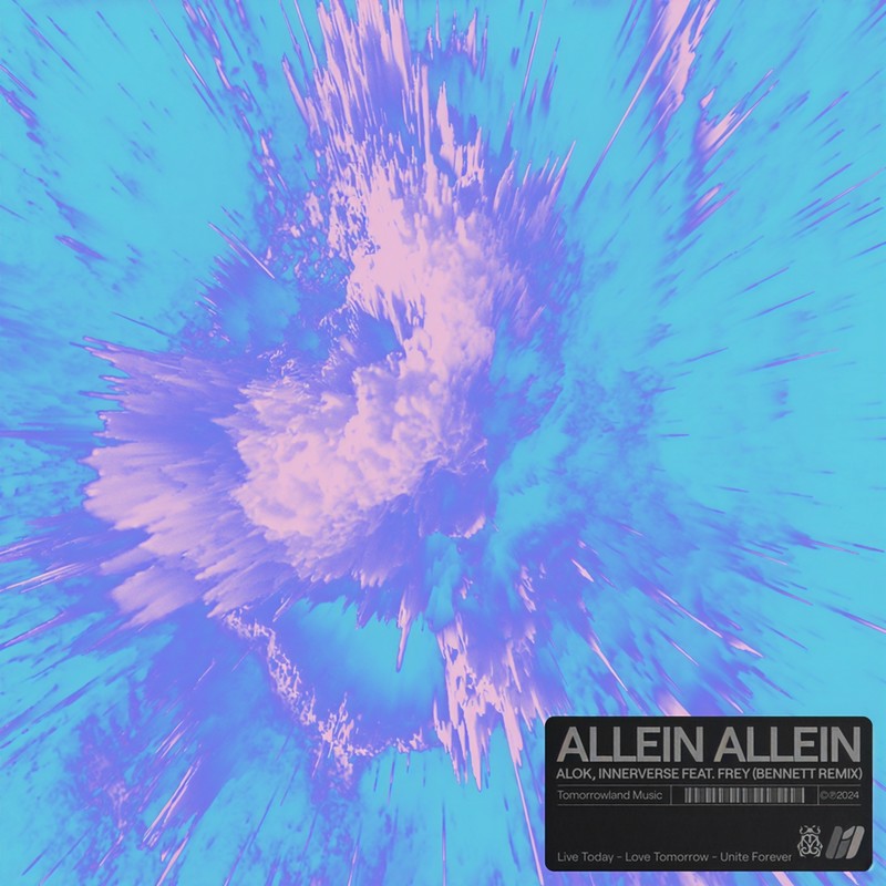 AlleinAllein封面