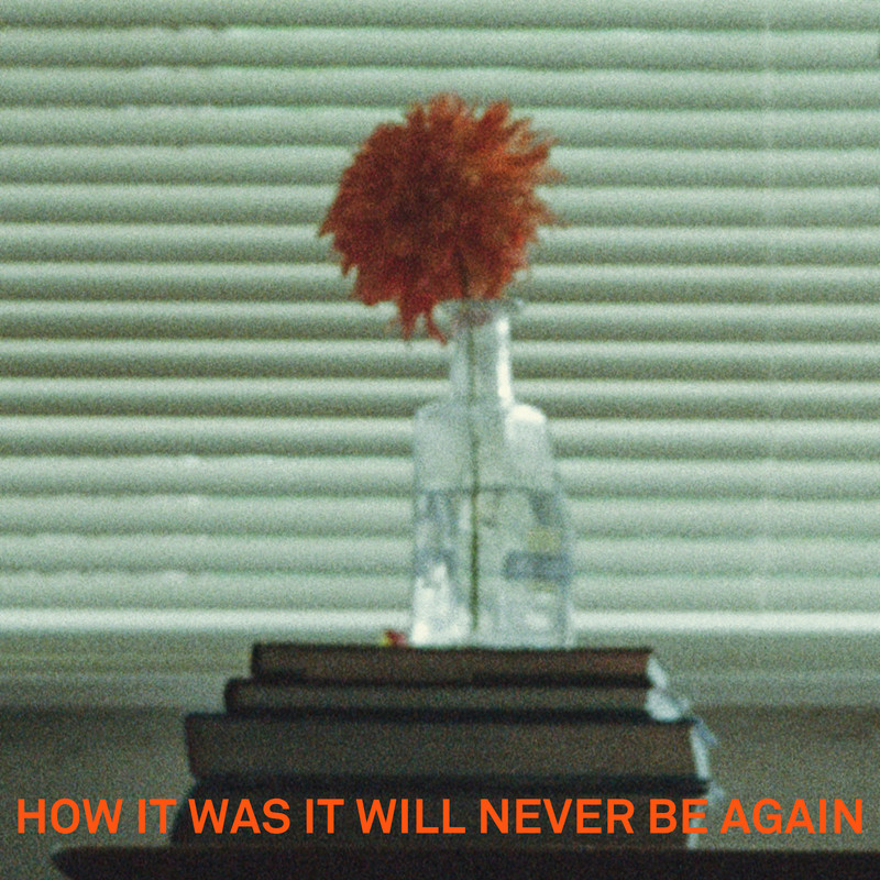 HowItWasItWillNeverBeAgain封面