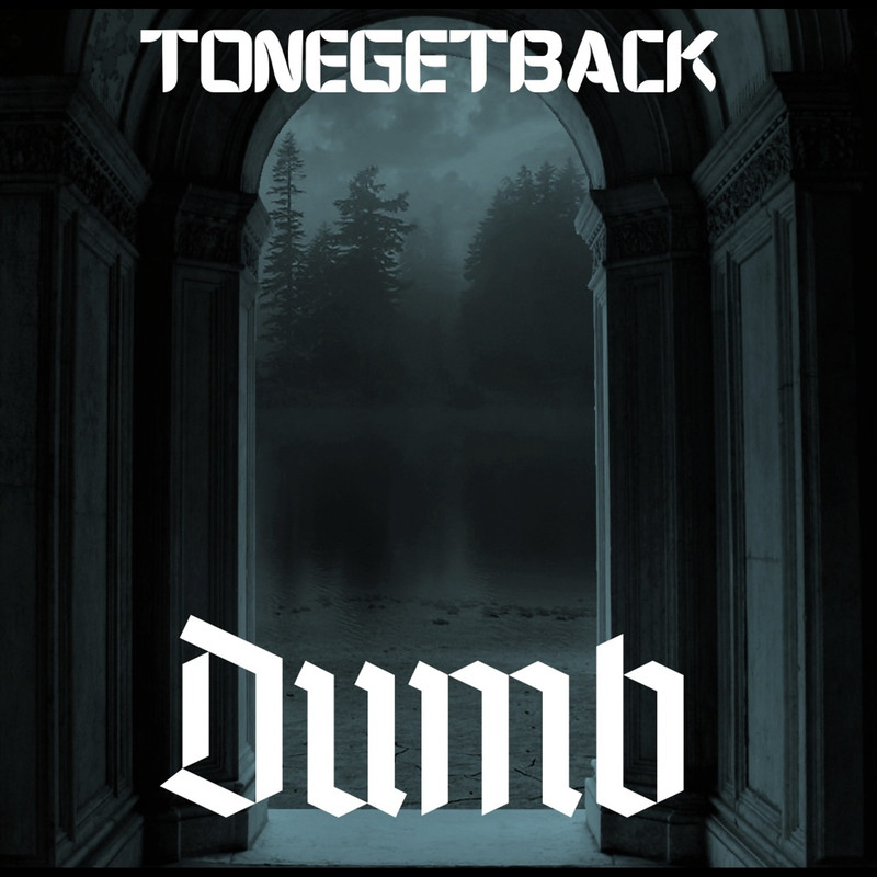 Dumb封面
