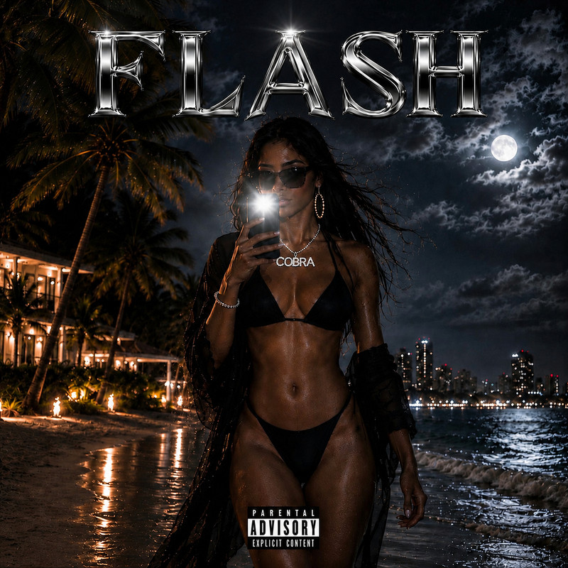 Flash封面