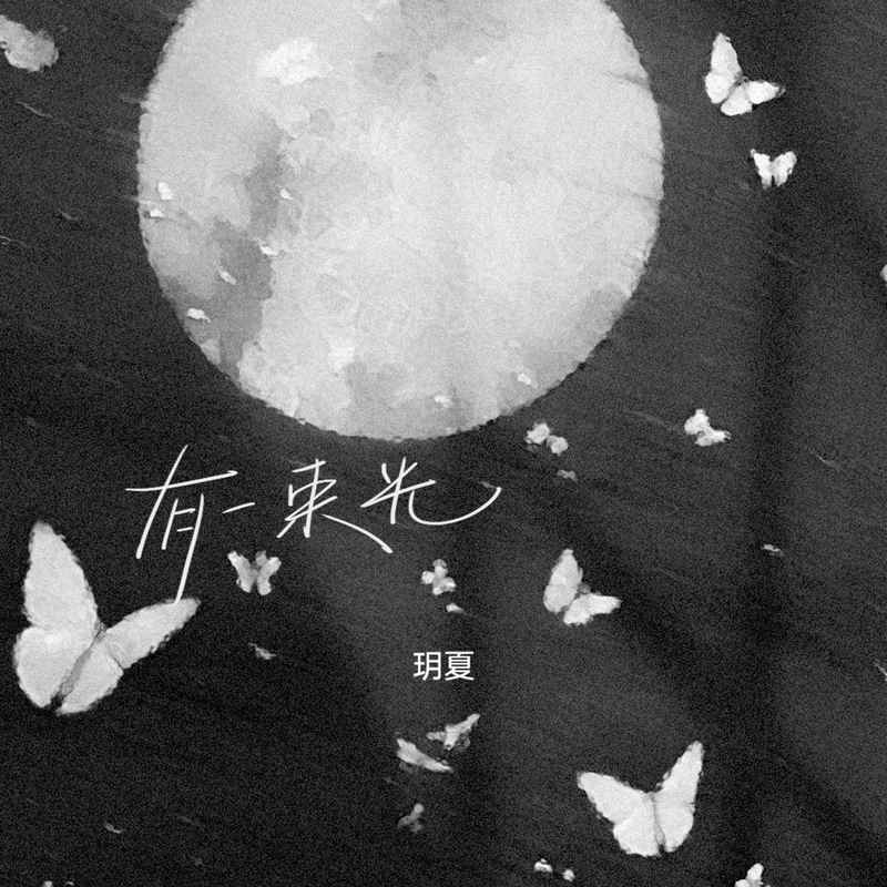 有一束光封面