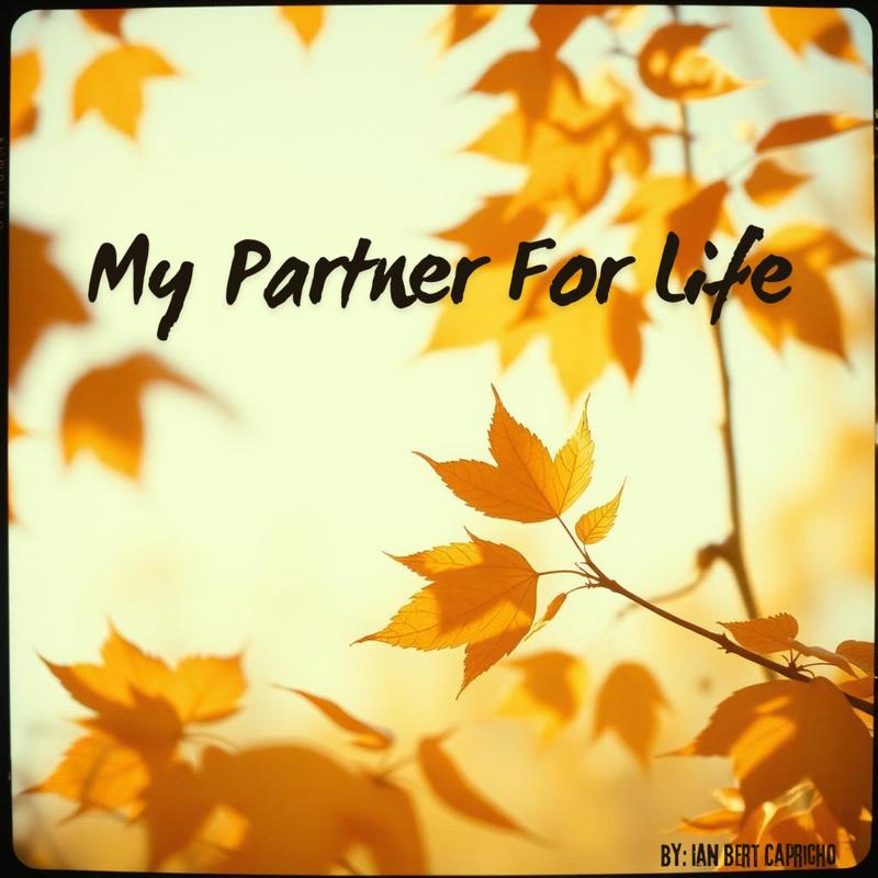 MyPartnerForLife封面
