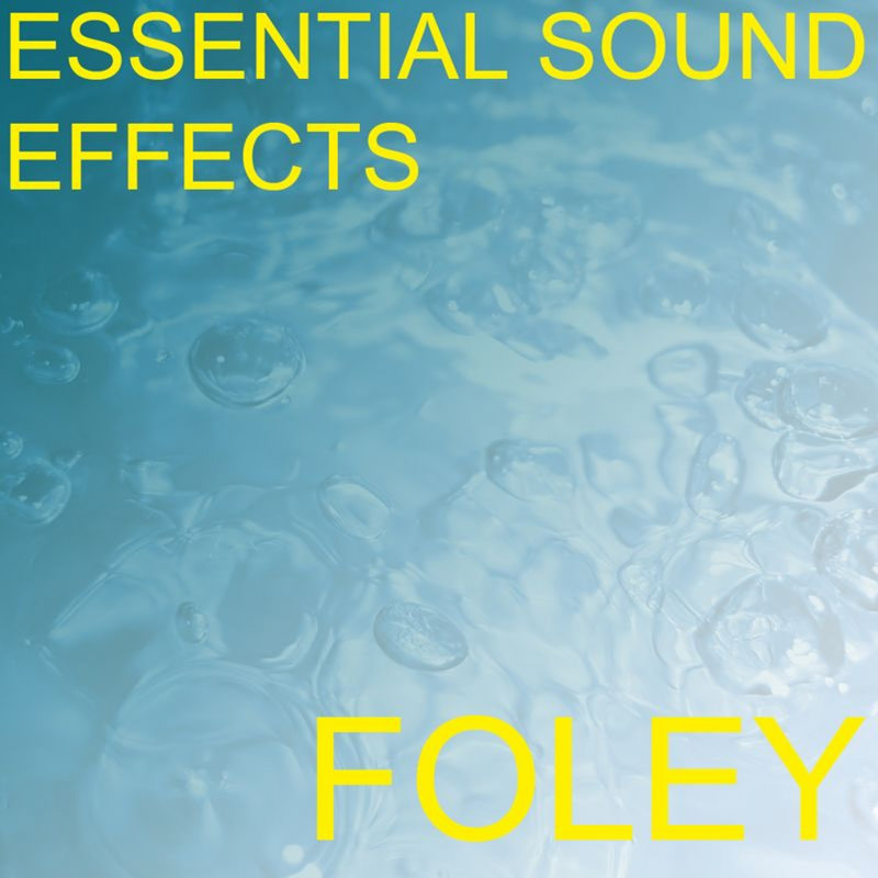 PageTurnTurningFlipFlippingBookPaperReadReadingSoundEffectsSoundEffectSoundsEFXSfxFXFoleyBook封面