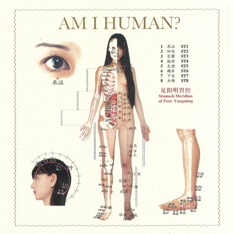 AmIHuman(Explicit)封面