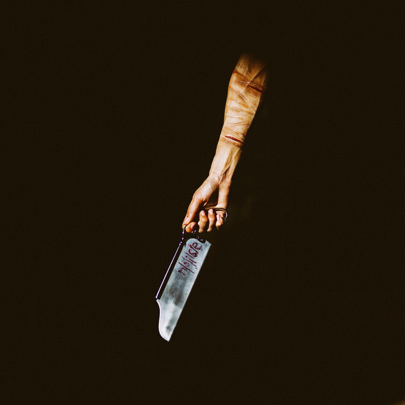 Flesh(Explicit)封面