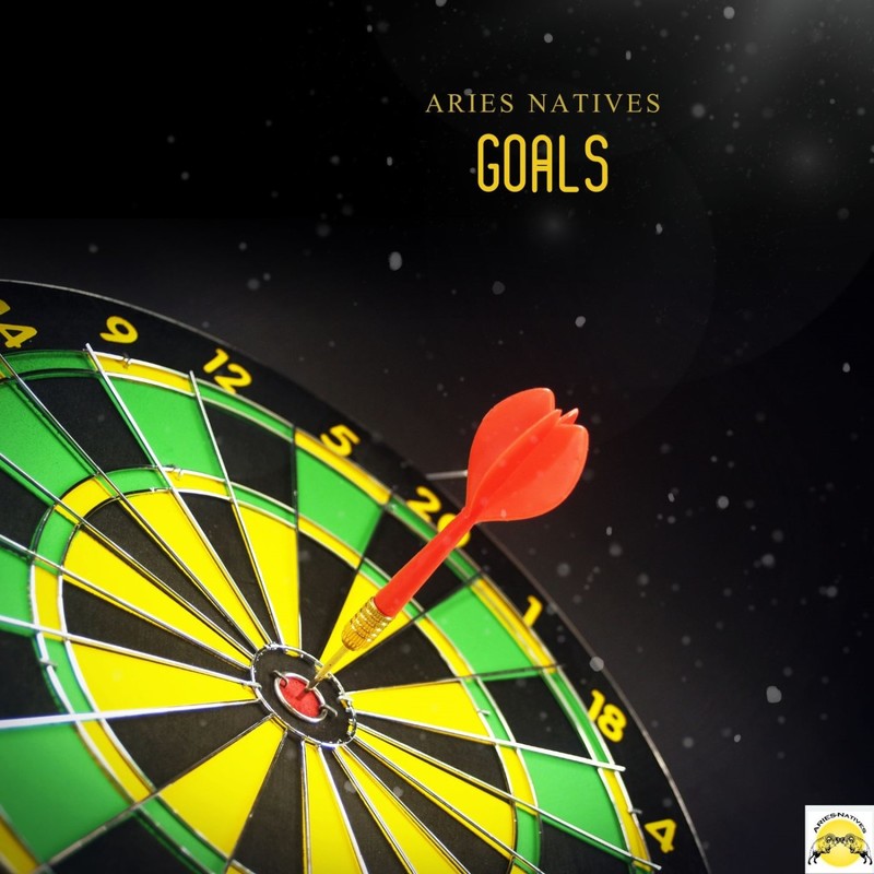 GOALS封面