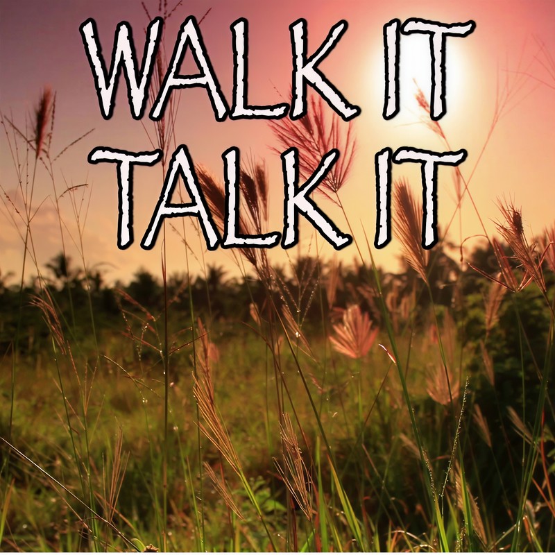 WalkItTalkIt封面