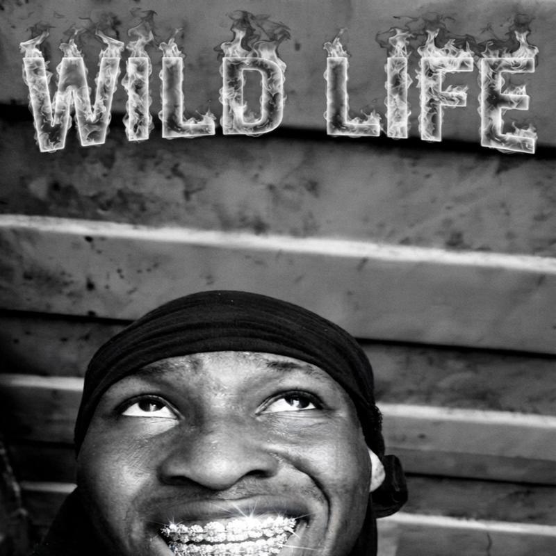 WildLife封面