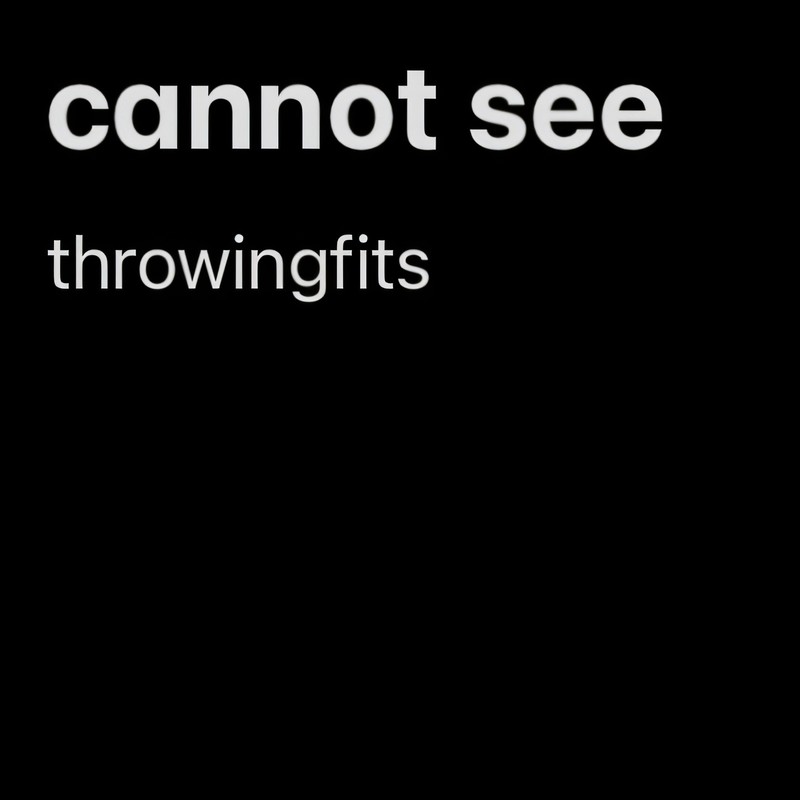 cannotsee封面