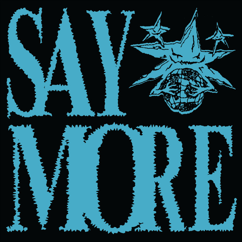 SayMore封面