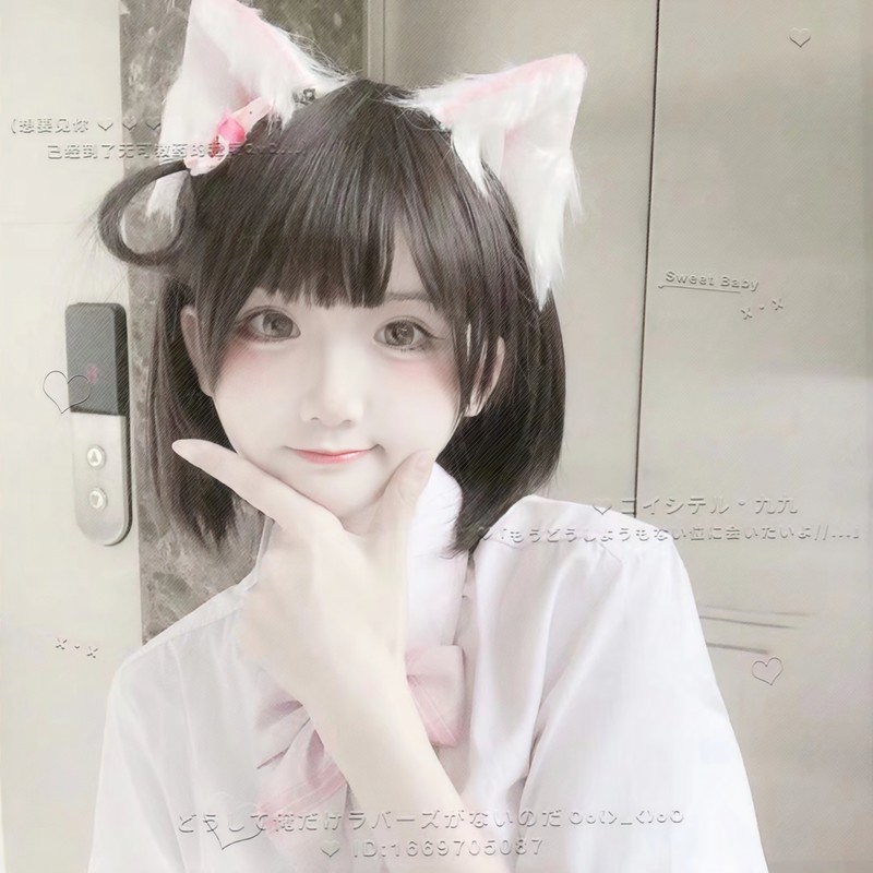 RolyPoly封面