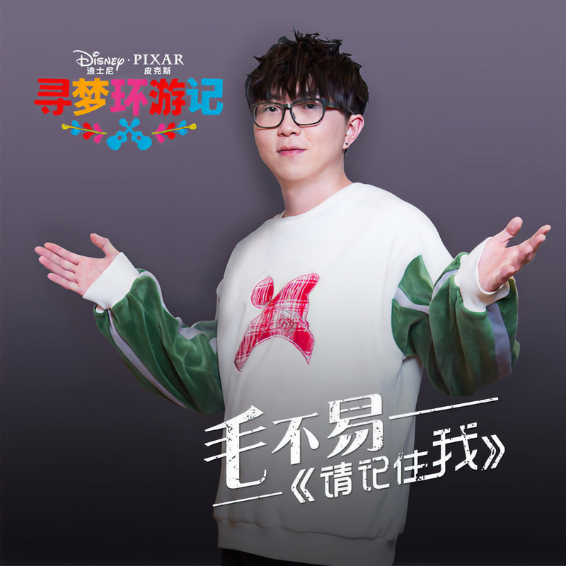 年度之歌毛不易像我这样的人