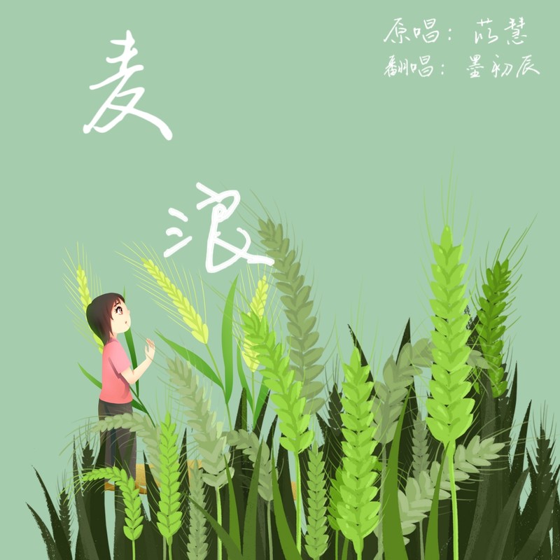 麦浪封面