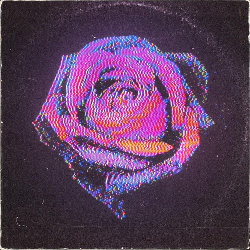 Rose封面