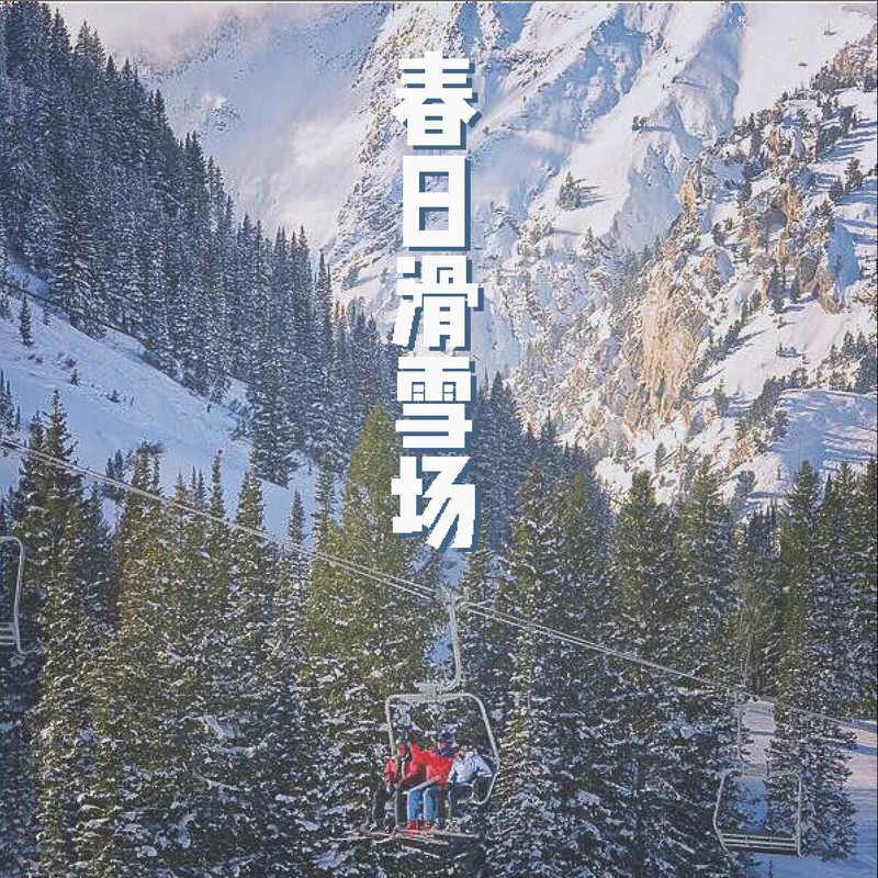 Fine封面