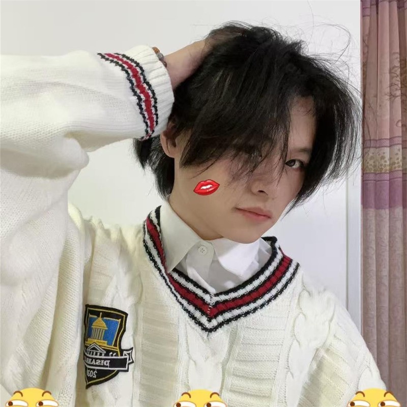 剑花封面