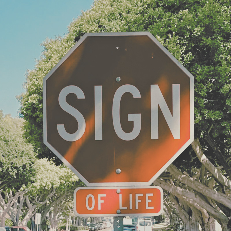 SignOfLife封面