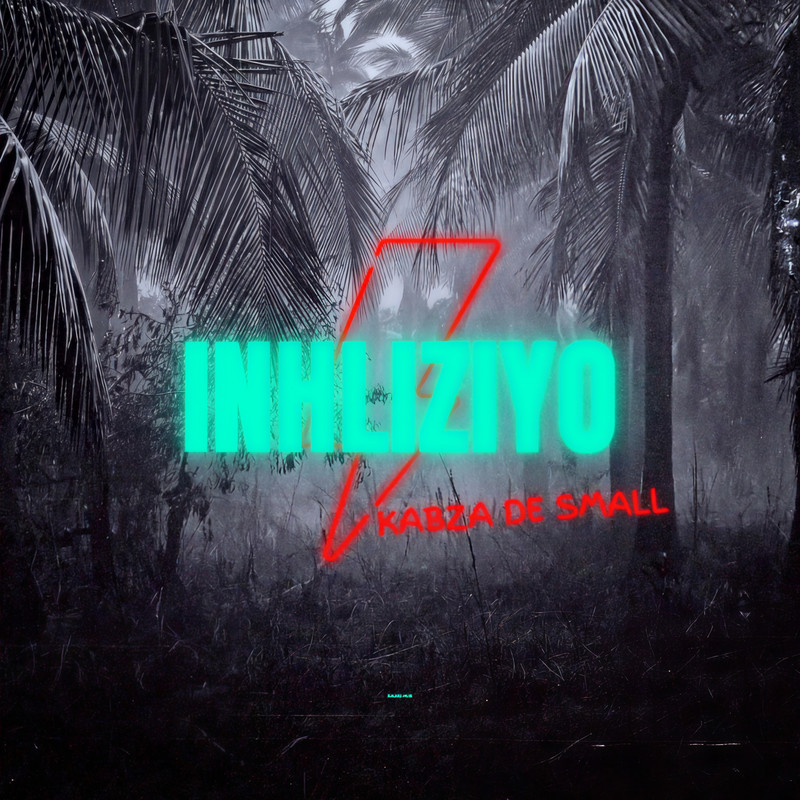 Inhliziyo封面