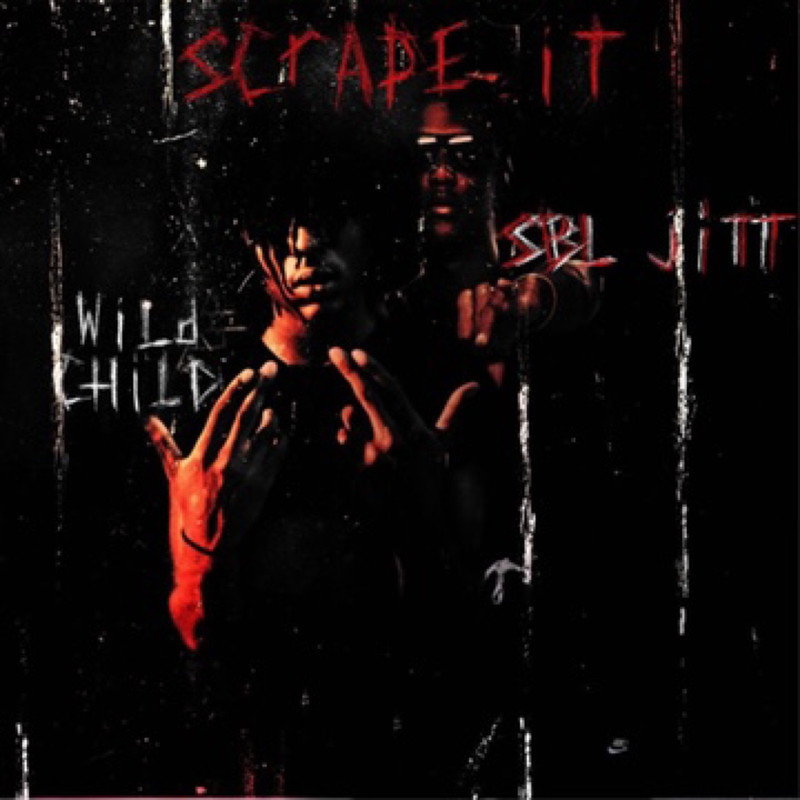 ScrapeIt封面