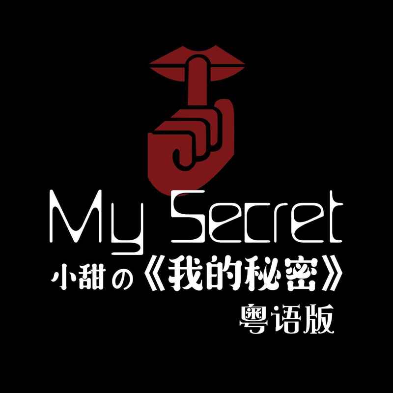 我的秘密封面