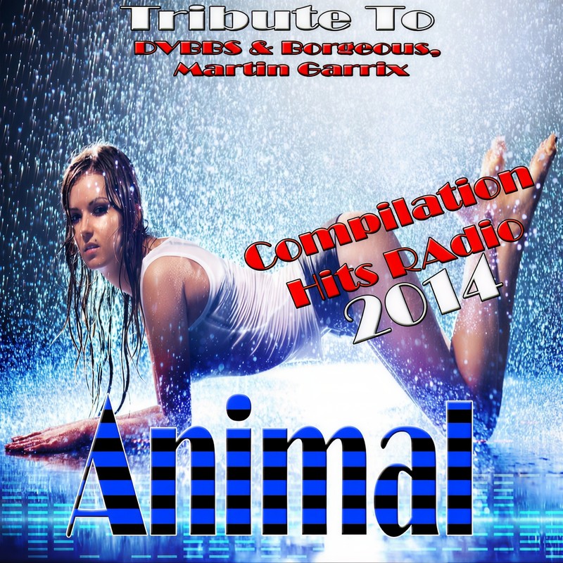 Animals封面