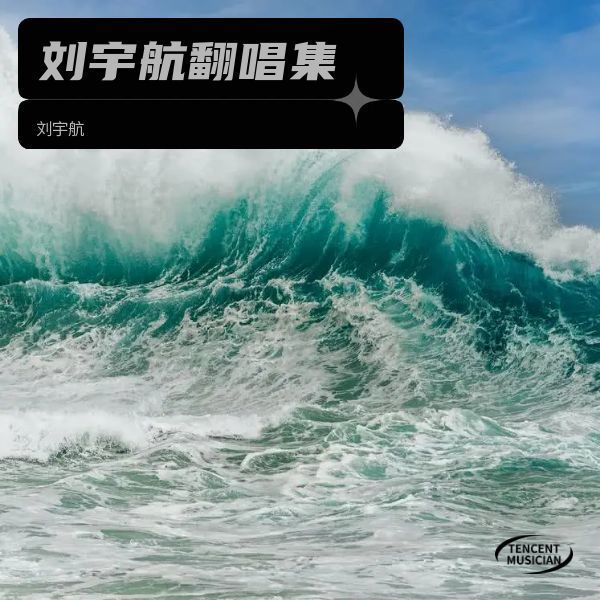 弦外知音封面