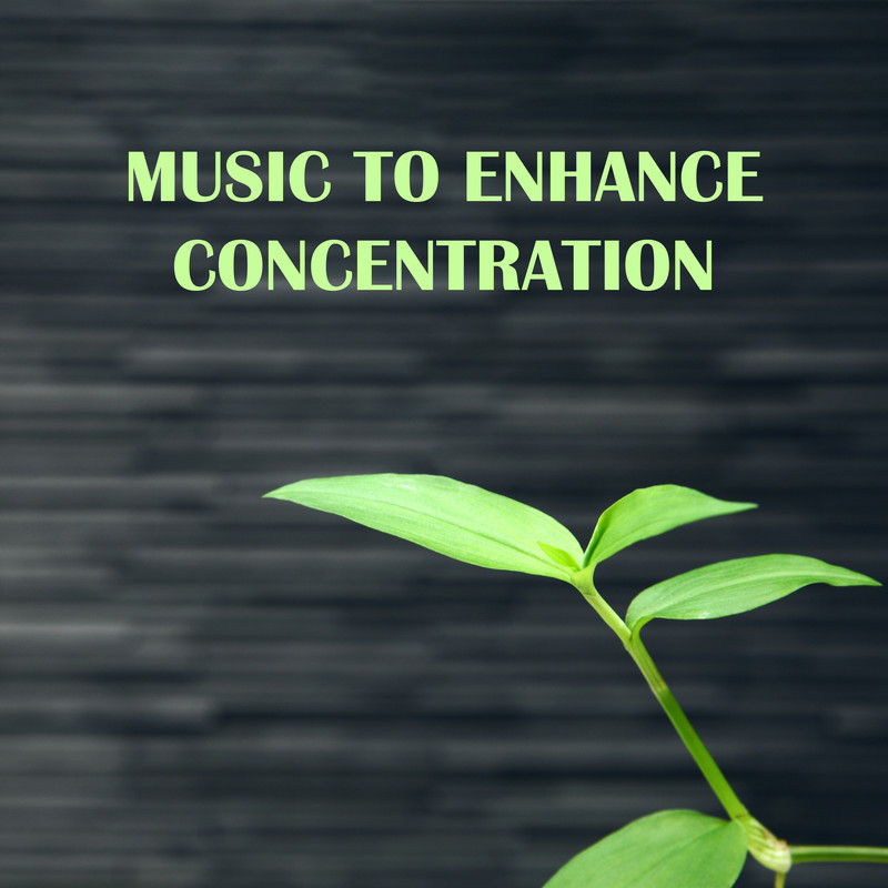 StudyMotivation封面