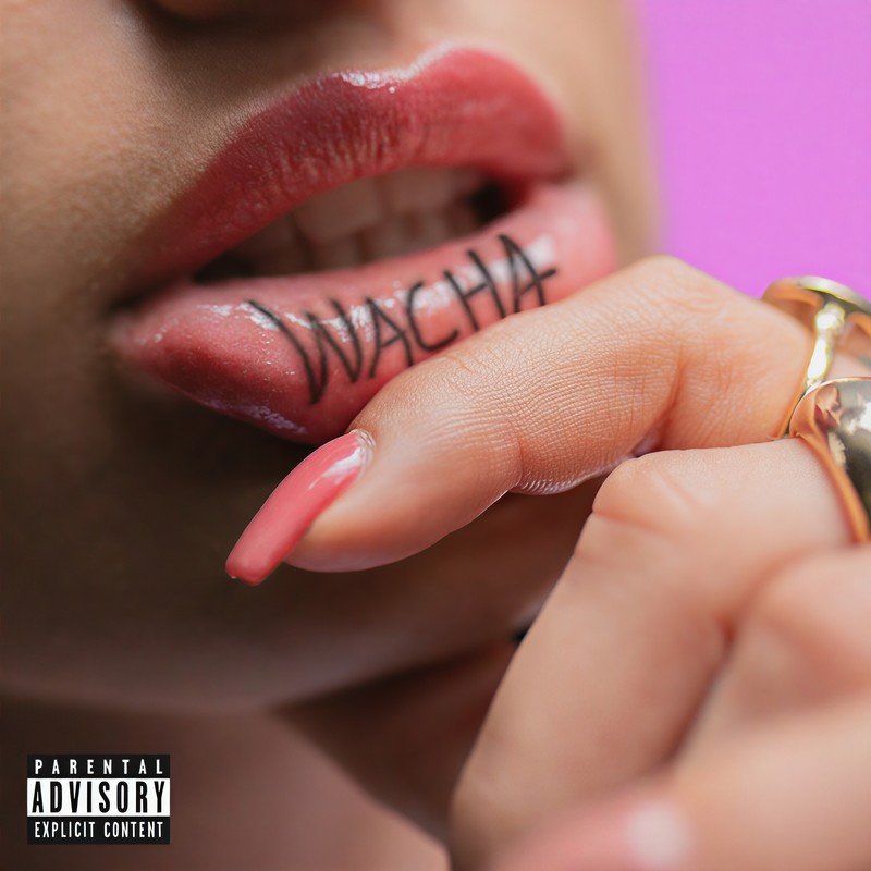 WACHA封面