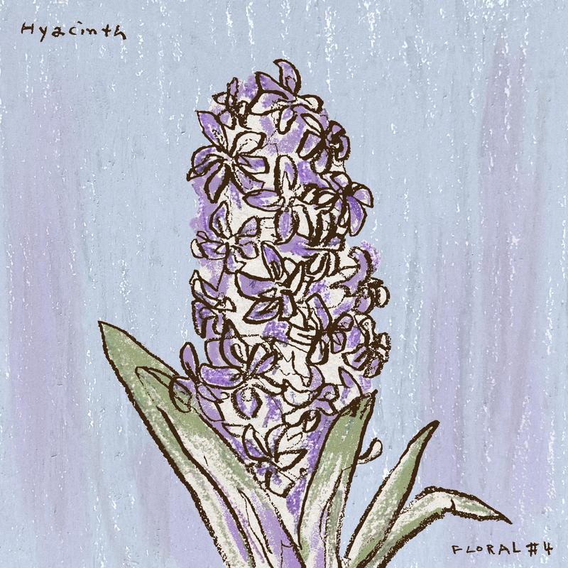 Hyacinth封面