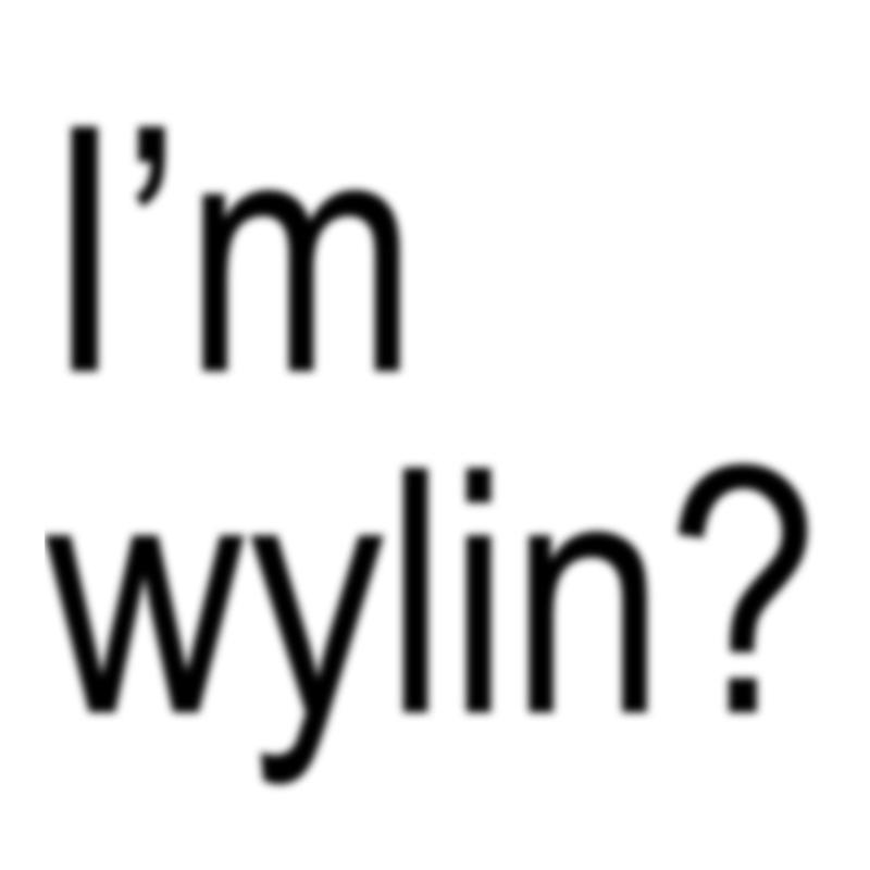 Wylin封面