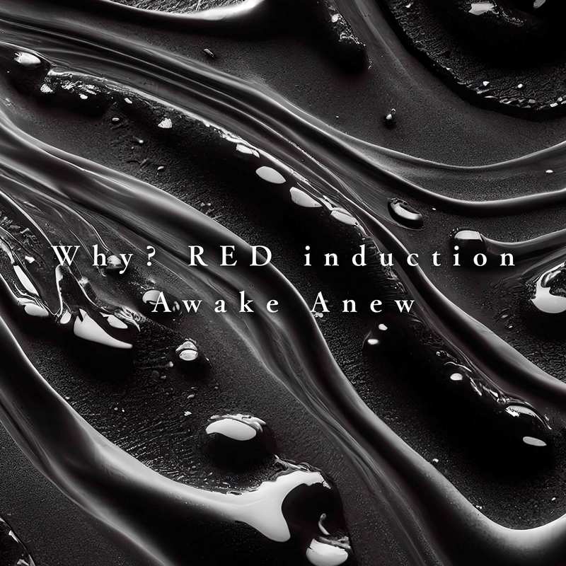 WhyREDinduction封面