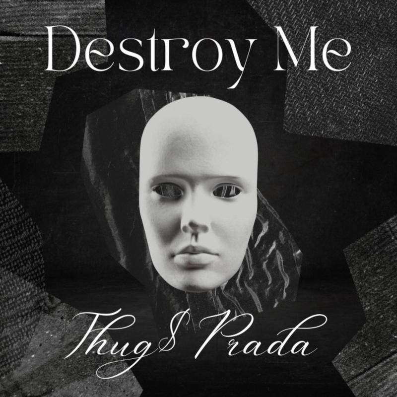 DestroyMe封面