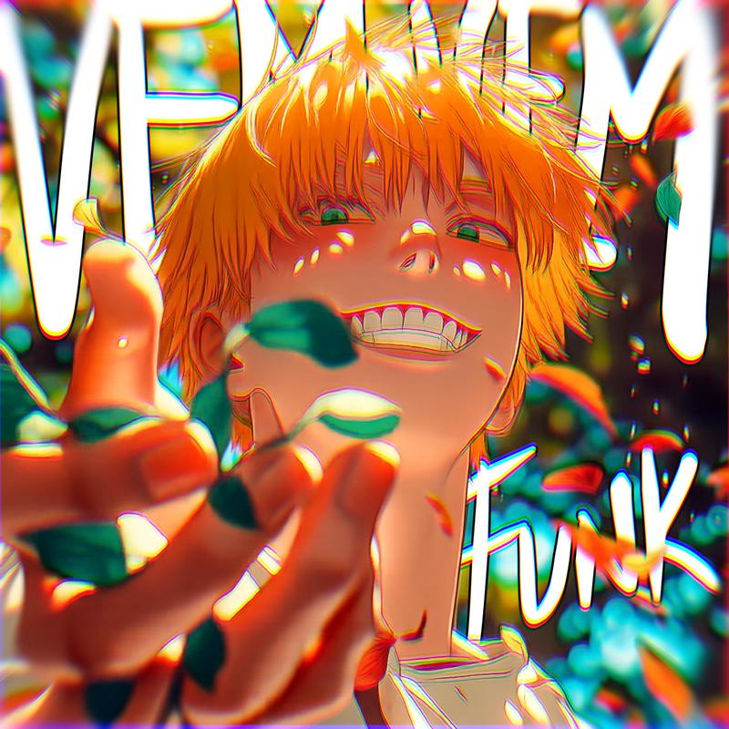 VEMVEMFUNK封面