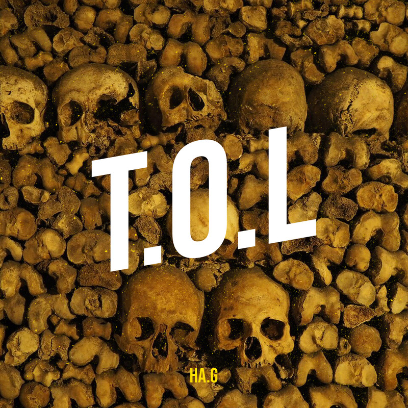 T.O.L封面