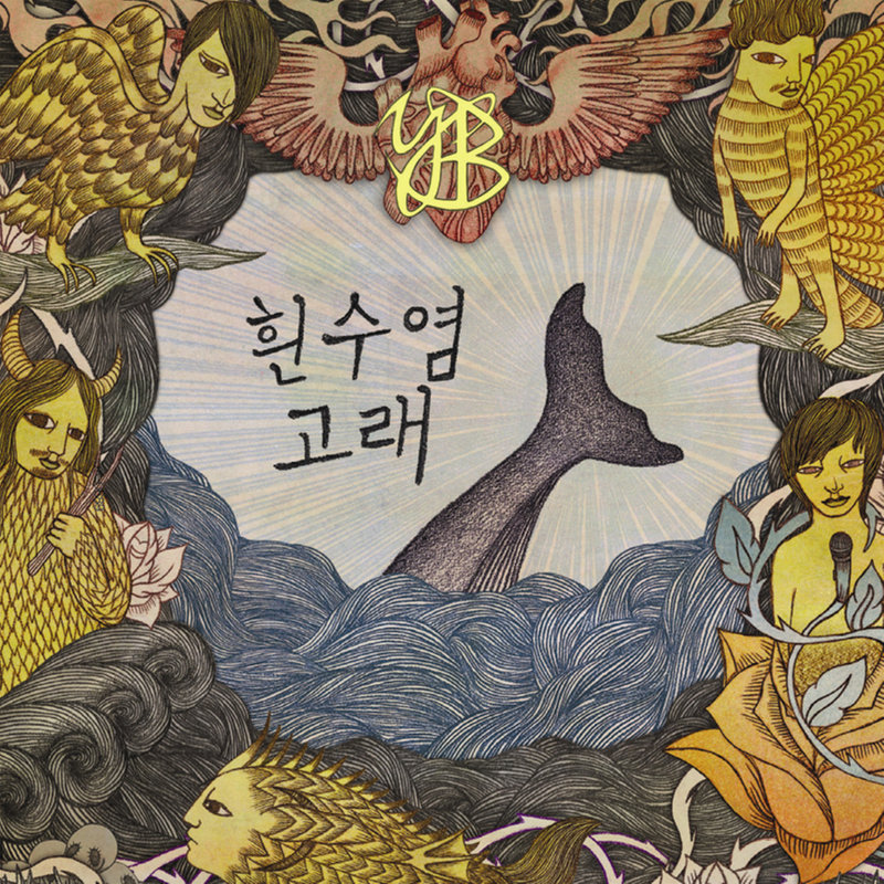 흰수염고래封面