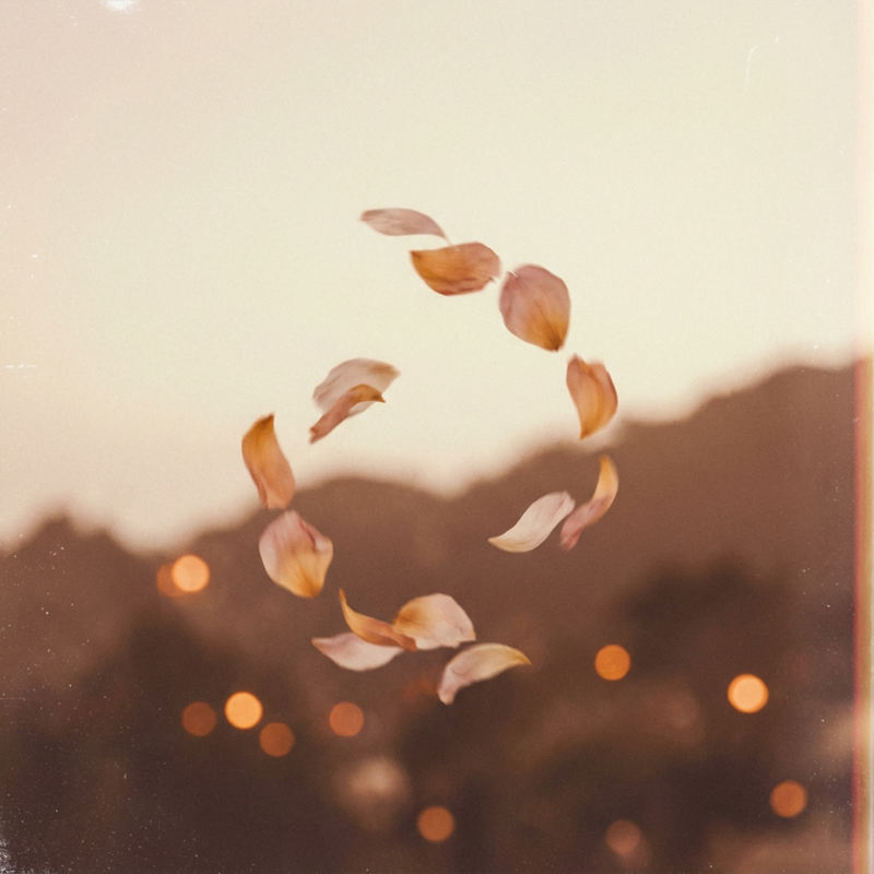 FallingPetals封面