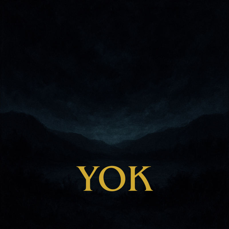YOK封面