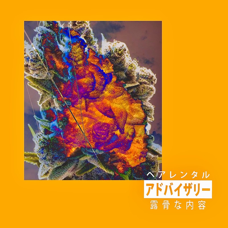 MiDi封面