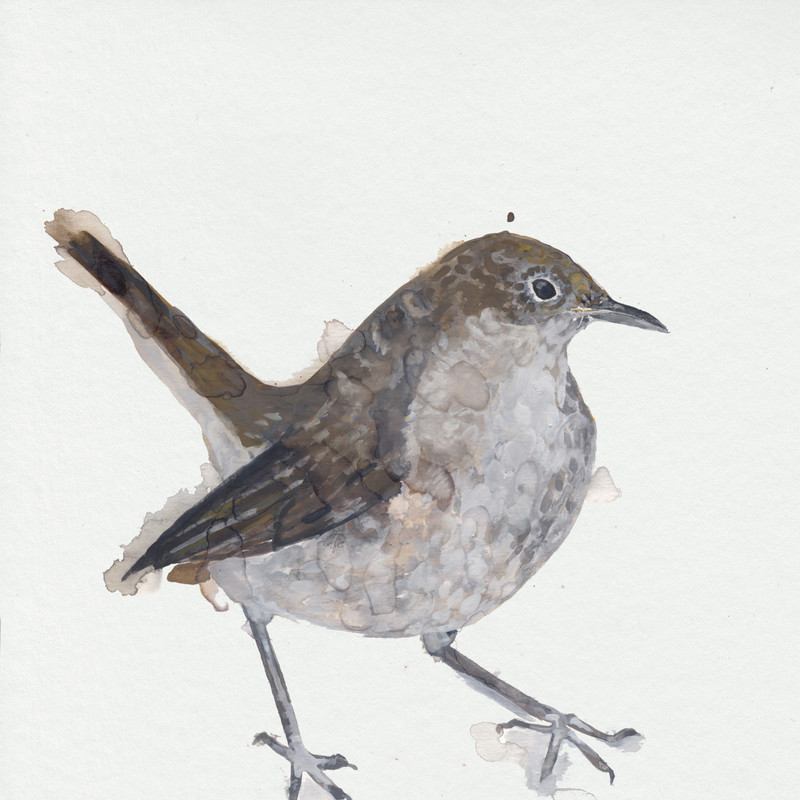 Nightingale,Pt.1封面
