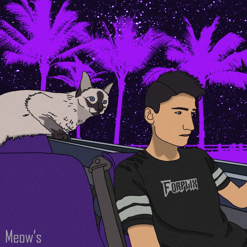Meows封面
