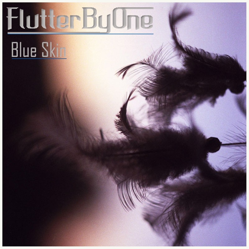 BlueSkin封面