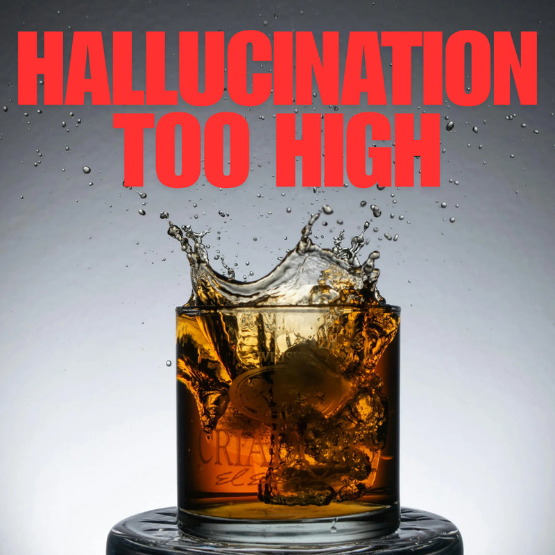 HallucinationTooHigh封面