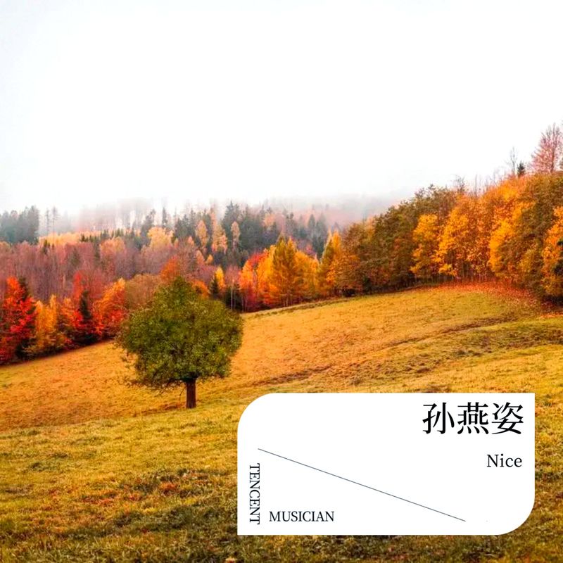 遇见封面