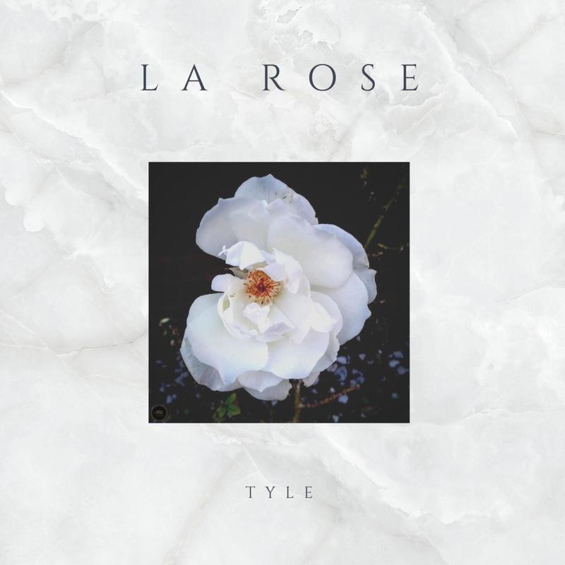 Larose封面