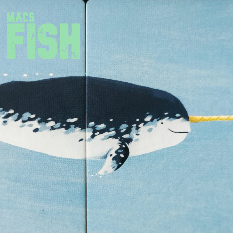 Fish封面