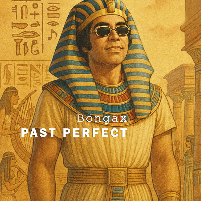 PastPerfect封面