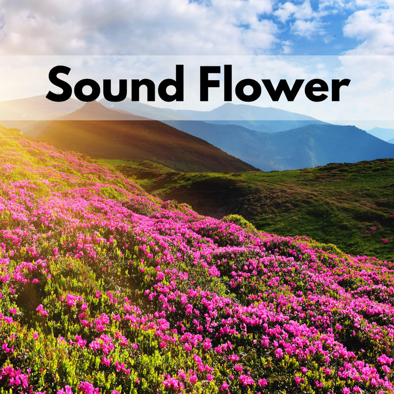 SoundFlower封面